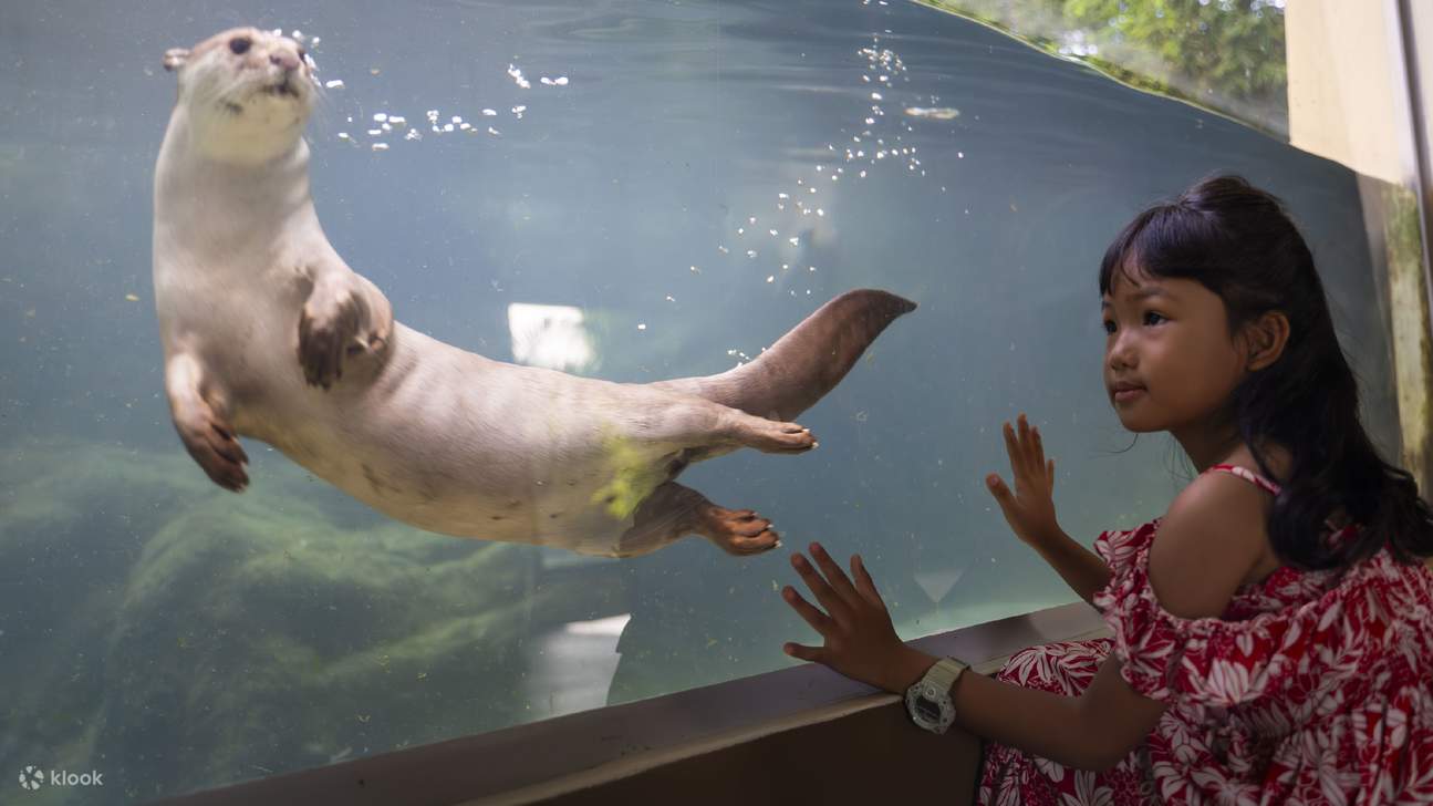 종일 패스 | 앙코르 와일드라이프 & 아쿠아리움